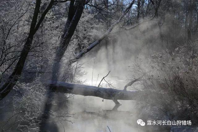 每天洗脸为什么还是长痘?-专业问答类网站